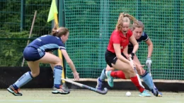 the focus is on the top game in the southern group 645ea14cb276e - The focus is on the top game in the southern group - The Zehlendorf team has lost three of its lavish nine-point lead after a perfect first half of the season (nine wins from nine games) because the start of the second half of the season was a complete failure (two defeats). But also the pursuer Rüsselsheim did not start the second part of the season flawlessly and lost clearly 0:4 in Feudenheim last weekend. With a deficit of six points, anything but a win on Sunday would mean the end of any hopes of promotion for the RRK. In the first leg, the wasps stole the points from Rüsselsheim 4-2.