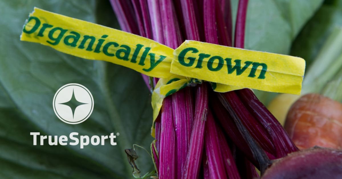 usa is that expensive food really better 6806d5542189e - USA: Is That Expensive Food Really Better? - When grocery prices seem like they are always on the rise, many caregivers are understandably stressed out when it comes to shopping for their athlete. And there’s plenty of messaging out there that suggests you should spend top dollar on your athlete’s food in order to be a ‘good’ caregiver.